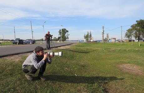 Gran Día Mundial de las Aves (5 de mayo de 2023)