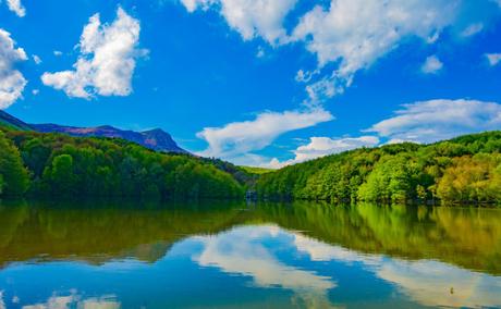Parque Natural del Montseny en Cataluya