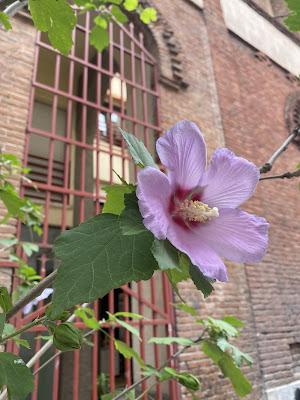 La venganza, el plato que más se me atraganta
