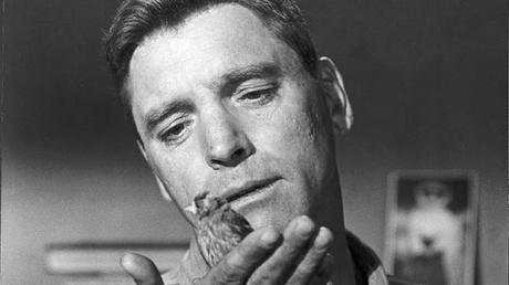 El Hombre de Alcatraz (Birdman of Alcatraz, 1962) El Hombre de Alcatraz (Birdman of Alcatraz, 1962)