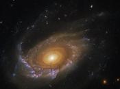 Hubble captura galaxia medusa deriva