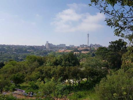 15 mejores cosas para hacer en Johannesburgo