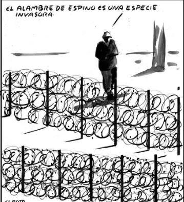 El poder terapéutico de la música… y los gritos racistas a Vinicius, jugador del Real Madrid.