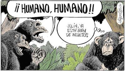 El poder terapéutico de la música… y los gritos racistas a Vinicius, jugador del Real Madrid.