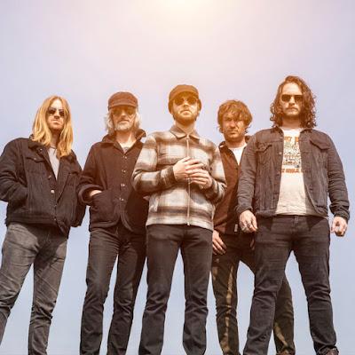 The Coral - Wild bird (2023) The Coral - Wild bird (2023)