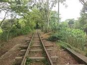 carrito sillas comedor