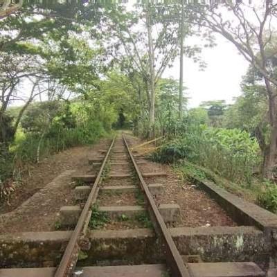 Un carrito con sillas de comedor