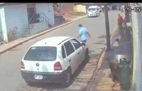 (video) Demente lanza perro a un cazo con aceite hirviendo en Estado de México
