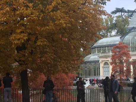 El arte y la verdad en el MNCARS Palacio de Cristal