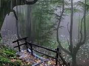 5.489 respira fuerte...