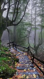 5.489 - RESPIRA FUERTE...