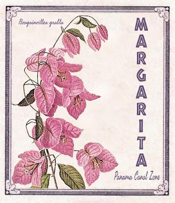 Colección de Postales de la antigua Panama Canal Zone (1904-1999)