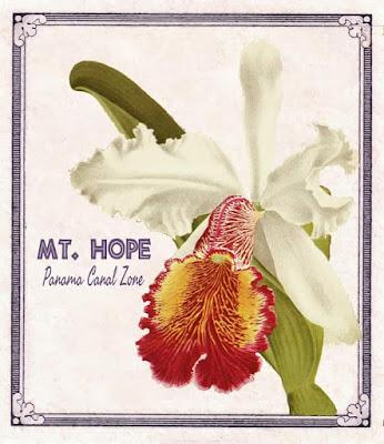 Colección de Postales de la antigua Panama Canal Zone (1904-1999)