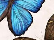 Colección Postales antigua Panama Canal Zone (1904-1999)