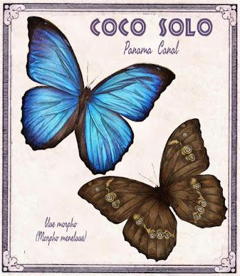 Colección de Postales de la antigua Panama Canal Zone (1904-1999)