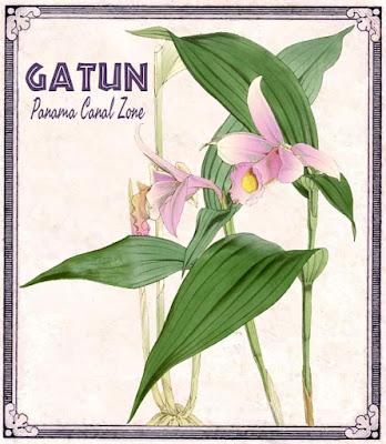 Colección de Postales de la antigua Panama Canal Zone (1904-1999)