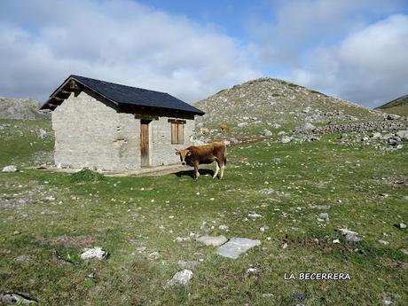 Torrebarrio-La Becerrera-La Pierna-Colines