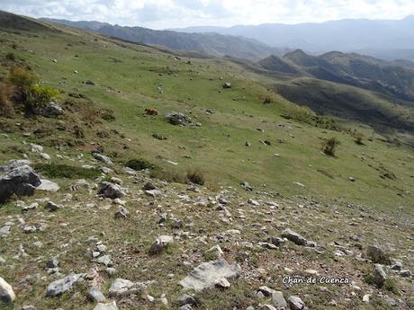 Torrebarrio-La Becerrera-La Pierna-Colines