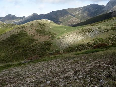 Torrebarrio-La Becerrera-La Pierna-Colines