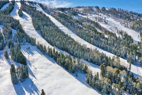 Fuente de la foto: Pajarito