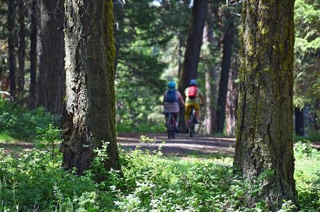 15 mejores parques nacionales y estatales en Idaho Ciclistas disfrutando de un paseo por el Parque Estatal Ponderosa