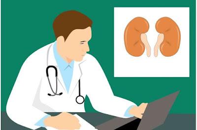 Nueva evidencia permitira mejorar la enfermedad renal crónica Nueva evidencia permitira mejorar la enfermedad renal crónica