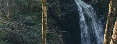 5 rutas de senderismo que hacer en Navarra