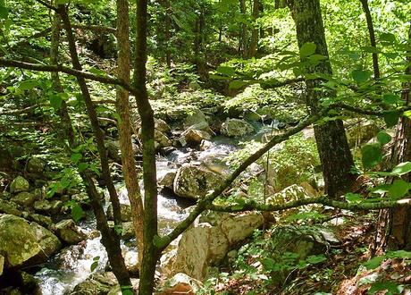 Cascada que fluye a través del área recreativa escénica natural de McGee Creek