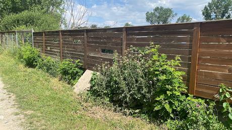 Riu Ter. Observatori del Meandre del Despujol