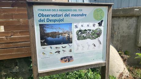 Riu Ter. Observatori del Meandre del Despujol