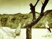 Tonton Macoute. Edición Rockarte