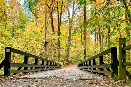 15 parques mejor calificados en Columbus, OH Hojas de otoño reflejándose en el agua en Highbanks Metro Park