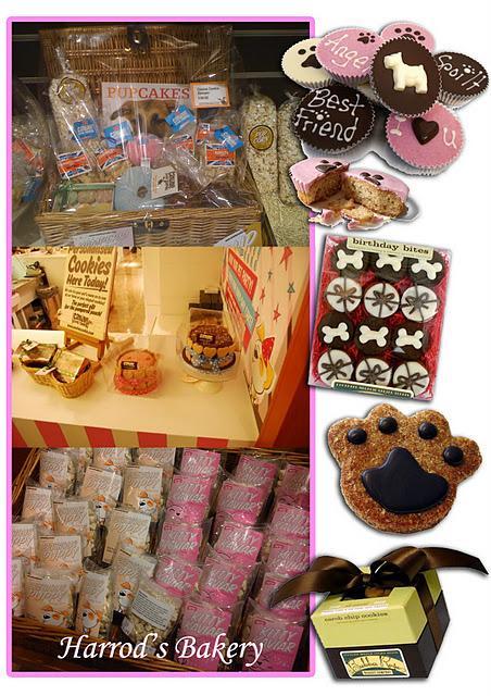 Animal trends,la ropa de nuestras mascotas