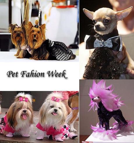 Animal trends,la ropa de nuestras mascotas