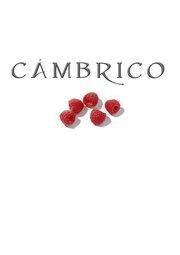 Miércoles de Vinos con Viñas del Cámbrico 16/11/2011