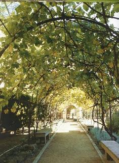 Huertos y Jardines de Conventos Madrileños