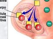 Eritroblastosis hidropesía fetal