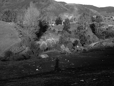 el manpodre oriental