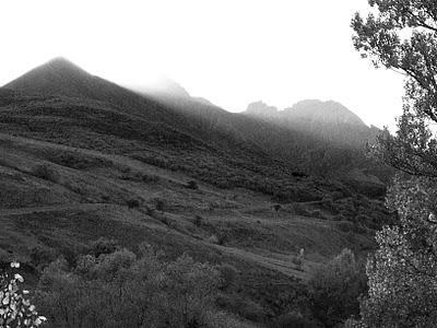 el manpodre oriental