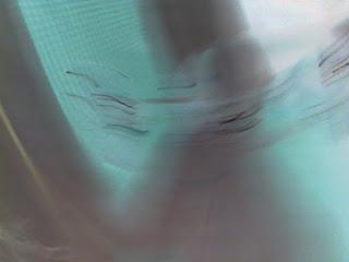 SATISFACCION LAB - AD NUTUM SATISFACCION LAB - AD NUTUM