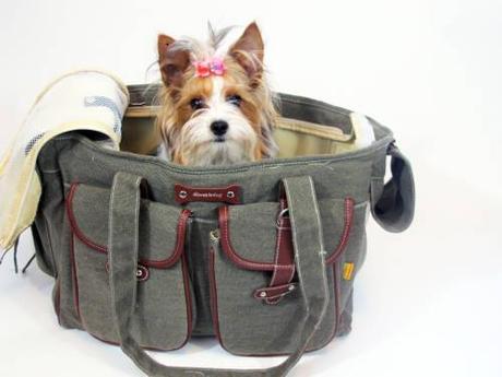 canvasdogcarrier canvasdogcarrier