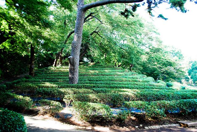 Palacio Imperial de Tokyo