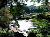 Tokyo Imperial Palace