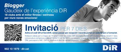 Mi experiencia en DIR