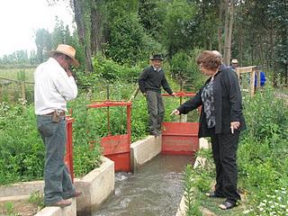 Inaceptable la reducción de más del 50% en presupuesto de Financiera Rural para 2012: Alcano