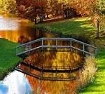 El Puente (reflexion)