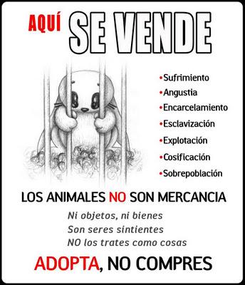 Adopta ... no compres