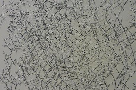 Johanna Calle, la palabra como dibujo Johanna Calle, la palabra como dibujo