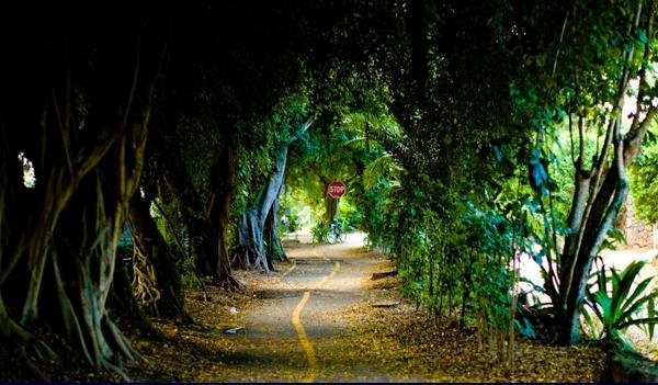 6 Semanas en el North Shore