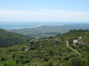 mayo, campo playa